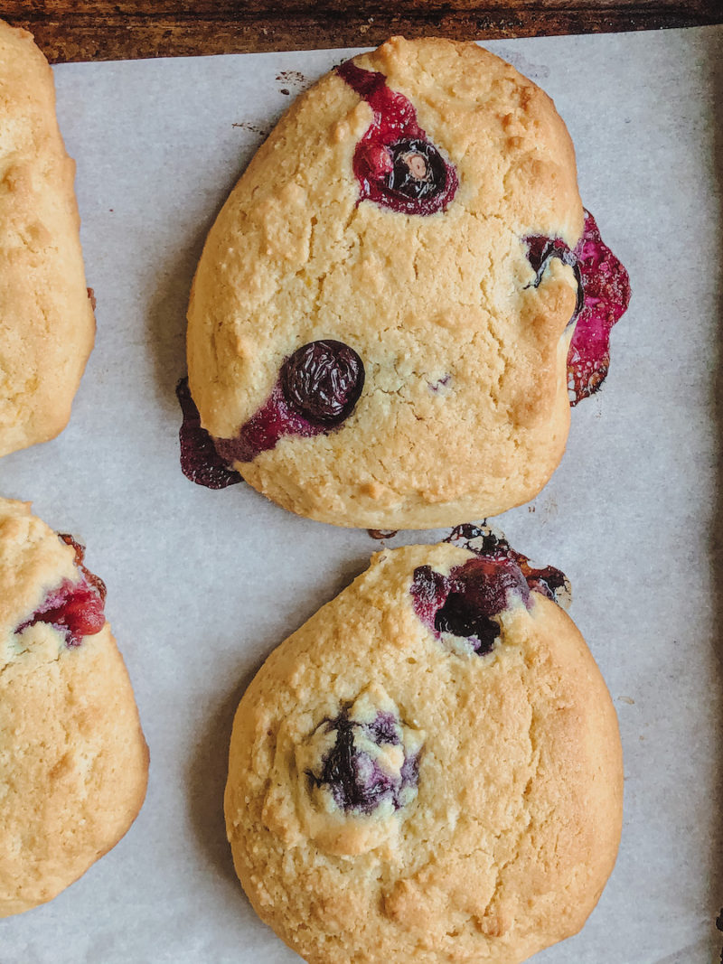 gluten free blueberry scones